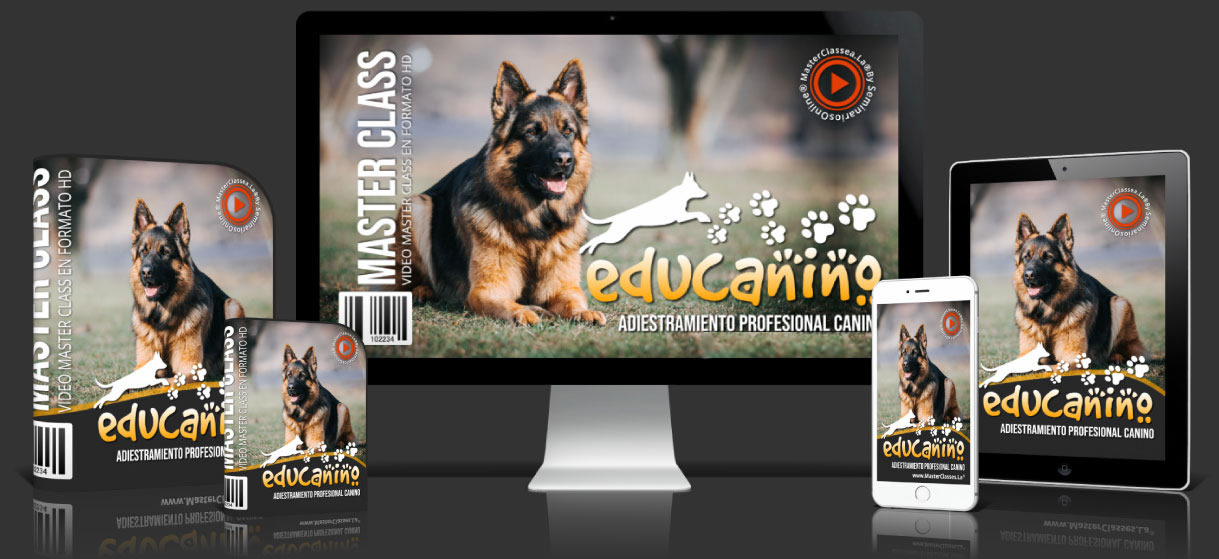 Curso Educanino