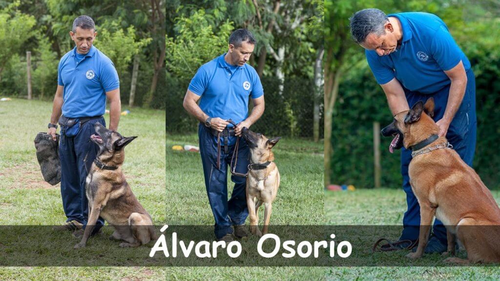 educanino curso